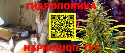 гашишное масло Гусев